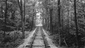 end of line bw.jpg