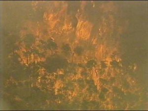 fire07.jpg
