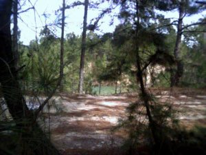 quarry4.jpg