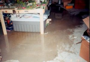 flood3.jpg