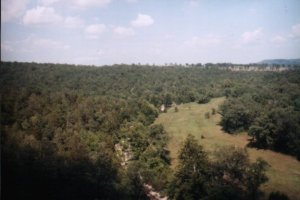 branson7.jpg