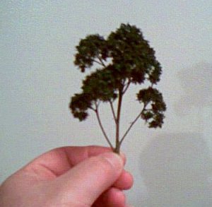 newtrees.jpg