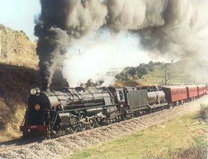 945mataroa.jpg