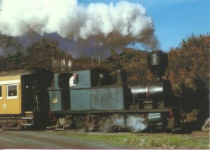 peckett 0-6-0t.jpg