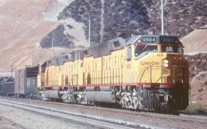 up 6904.jpg