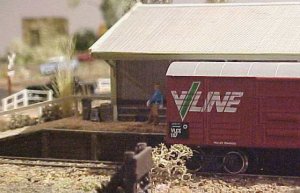 shedman.jpg