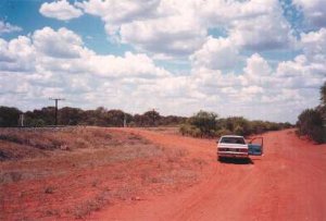 rotoroad.jpg