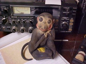 monkey.jpg