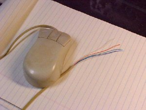 mouse.jpg