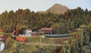 collin's tobacco farm.jpg