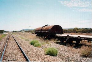 roto01.jpg