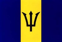 bigflag.jpg