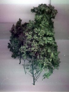 tree.jpg