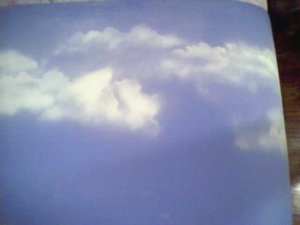 backdrop2.jpg