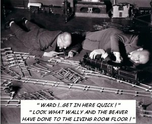 beaver.jpg