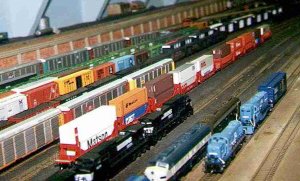 yard 1.jpg