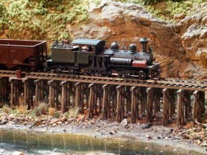 shay20-4x6.jpg