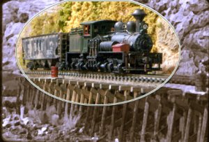 shayontrestle.jpg