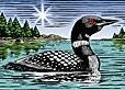 loon.jpg