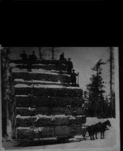 log load.jpg
