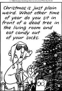 maxinexmas7.jpg