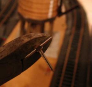 clipped-nail.jpg