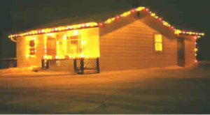 xmas lights.jpg