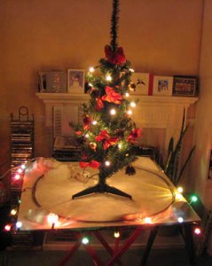 xmas2.jpg