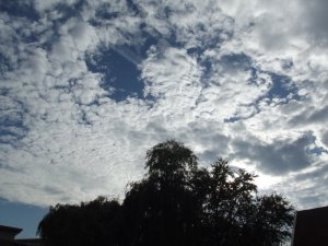 DSCF1240a.JPG