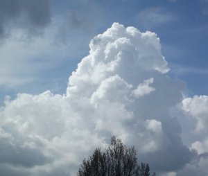 DSCF4933a.JPG