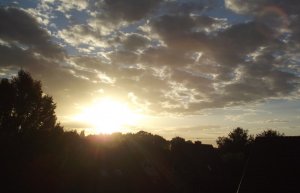 DSCF7683a.JPG