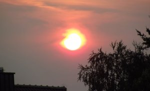 DSCF2242a.JPG
