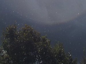 DSCF7684b.JPG