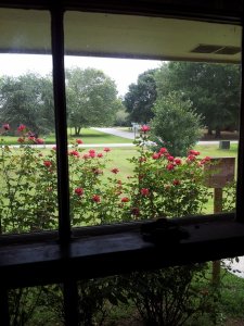 20130827_125705.jpg