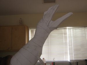 423.jpg