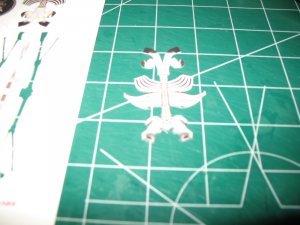 IMG_2887.jpg