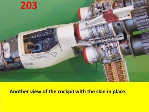 203.jpg