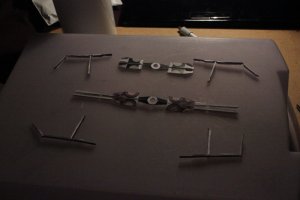 IMG_2180.jpg