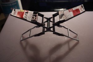 IMG_2205.jpg
