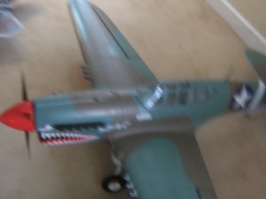 big p-402.jpg