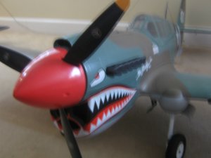 big p-40-3.jpg