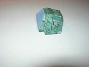 DSCN5313.jpg