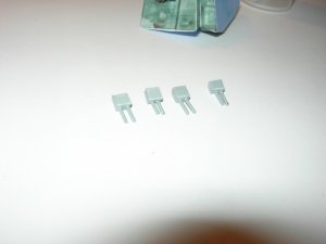 DSCN5330.jpg