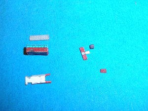 DSCN0520.JPG