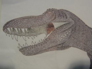 t-rex drawing 2.jpg