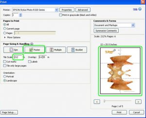 TurkeyPrintSettings.jpg
