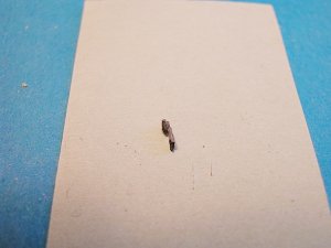 DSCN0618.JPG