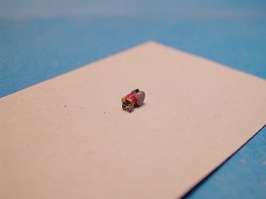 DSCN0623.JPG