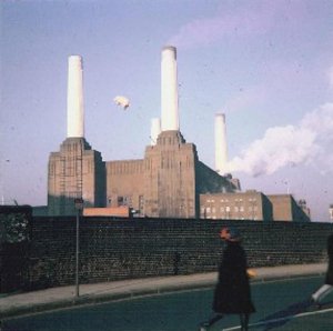 animals4.jpg