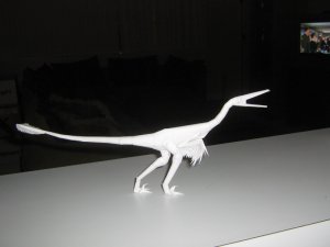 buitreraptor 2.jpg